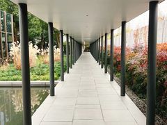 -养云安缦吧THE BAR