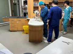 -联合动物医院(光谷诊疗中心)
