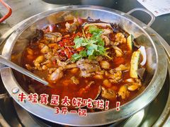 -海岛八号龙虾烧烤田鸡(蓝天路总店)