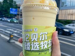 -茉酸奶(春熙路店)