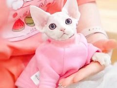 -十年猫舍·猫咪专门店(普陀店)