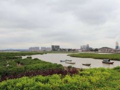 -北海金海湾红树林生态旅游区