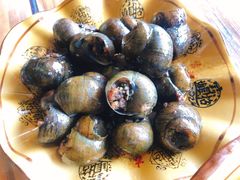 酿田螺-老根农家饭店