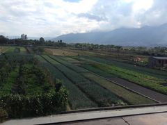 -翠田Green Field Kitchen