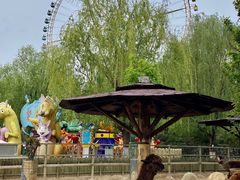 -辛玛王国游乐园