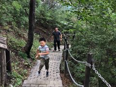 -阳台山自然风景区