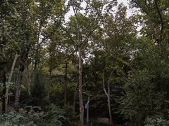 -西安市长乐公园