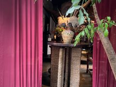 -都氏家DUSJOY(翡翠城店)