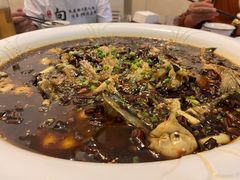来凤鱼-瓦房兔(璧山店)