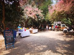 -Bamboo Saturday Market(Nana Jungle)