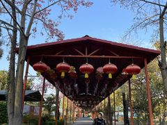 -广东花都香草世界旅游度假区