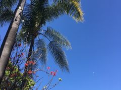 景点-圣地亚哥动物园