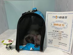 -纳吉亚猫专科动物医院·北北分院