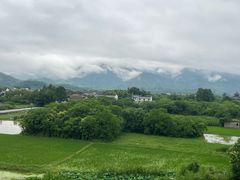 -黄牛肉馆·皖南土菜