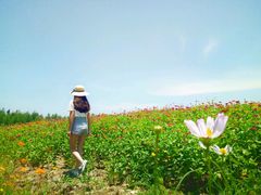 -漩门湾国家湿地公园