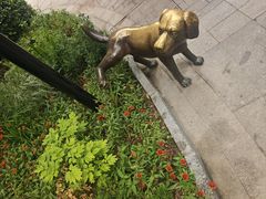 -中粮·祥云小镇