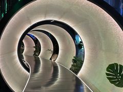 -水之梦(黄浦店)