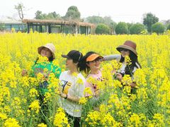 -洪湖家庭农场·团建·露营·会议