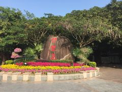 -野狸岛