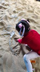 点击看大图 -恐龙探索乐园(磁器口店)