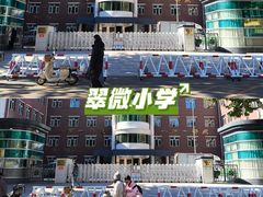 -北京市海淀区翠微小学