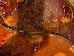 -大龙燚火锅(春熙店)