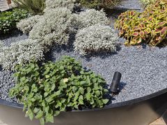 -麦当劳(广州新港东路第二分店)