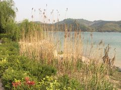 iphone_upload_pic-天目湖涵田度假村