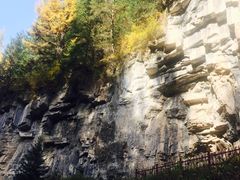 -芦芽山旅游度假区