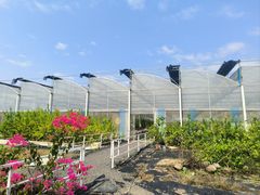 -长洲岛都市农业公园