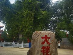 -大槐树寻根祭祖园