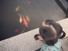 -渔堂公园餐厅·本帮菜(乐园路店)