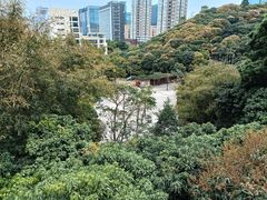 -鲤鱼塘农家山庄