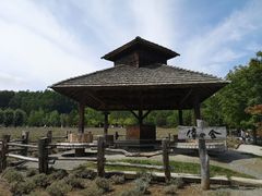 -富田农场