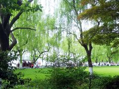 -柳浪闻莺公园