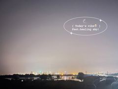 -合肥滨湖国家森林公园