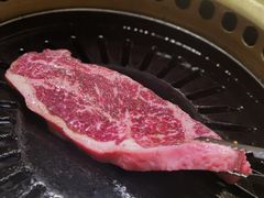 -炼火烤肉店