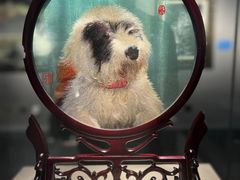 -深圳博物馆(古代艺术馆)