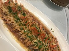 -沪碟·精菜坊(闵行店)