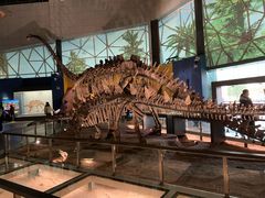 -湖南省地质博物馆