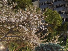 -玛格萝妮比萨屋(四平店)