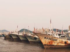 -沈家门渔港