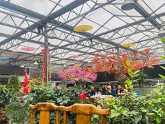 -老磨油饼(高陵店)