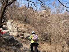 -北京鹫峰国家森林公园