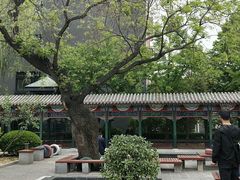 -北京第二实验小学