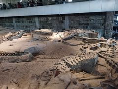 -自贡恐龙博物馆