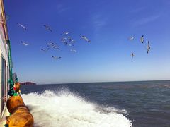 -海驴岛(荣成市)