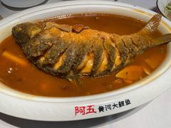 -阿五黄河大鲤鱼(英协路店)