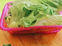 -15年老字号鑫鑫猪肚鸡·椰子鸡海南火锅(兴隆华侨农场店)