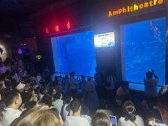 -太平洋海底世界